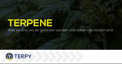 Terpene Was sie sind