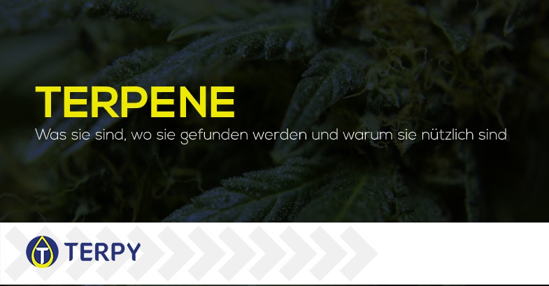 Terpene Was sie sind