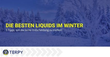 Die besten Liquids im Winter: 3 Tipps, um die beste Entscheidung zu treffen!
