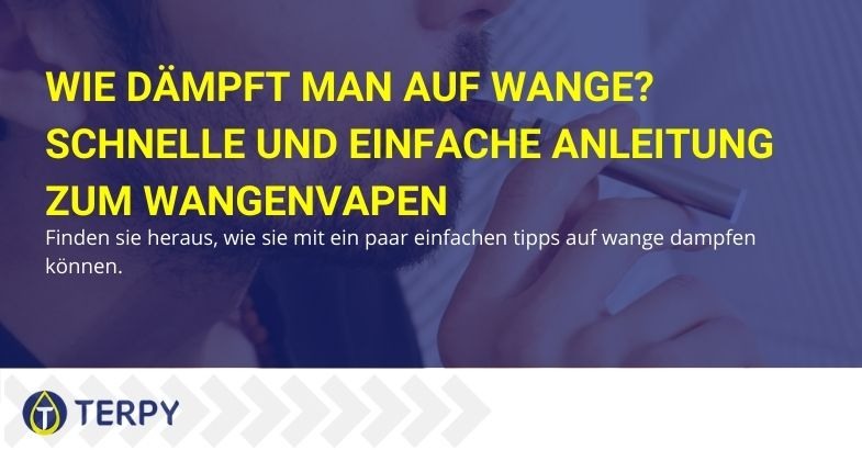 Eine schnelle und einfache Anleitung zum Wangendampfen