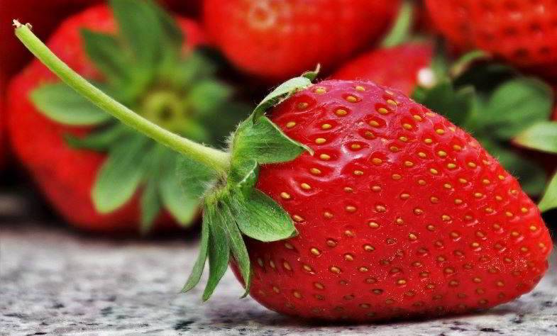 Erdbeeren zum Extrahieren von Aromen für natürliche Dampfflüssigkeiten.