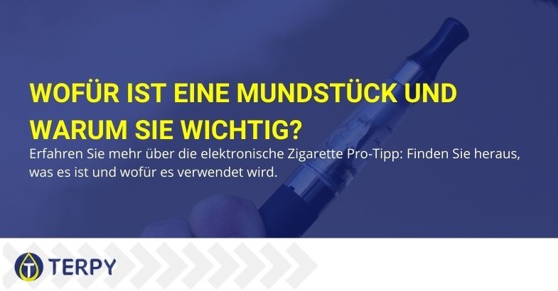 Finden Sie heraus, was der E-Cig Drip Tip ist und wozu er dient