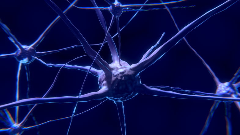 Neuron, gesehen mit einem Elektronenmikroskop