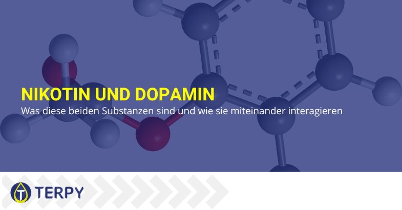 Was Nikotin und Dopamin sind und wie sie zusammenwirken