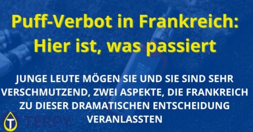 PuffVerbot in Frankreich Hier ist, was passiert Terpy